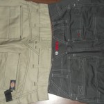 Testbericht Arbeitshose Bosch Dickies