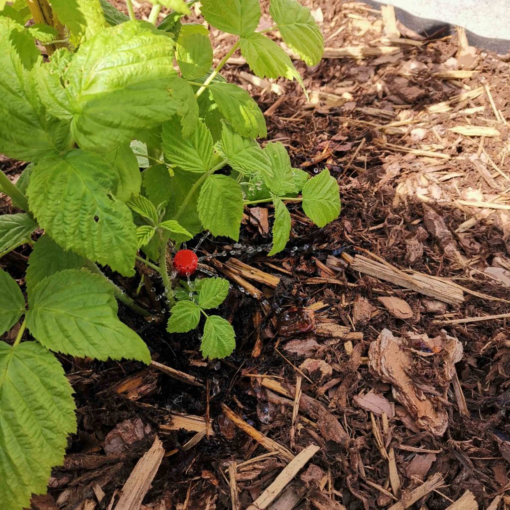 Gartenarbeit für Männer